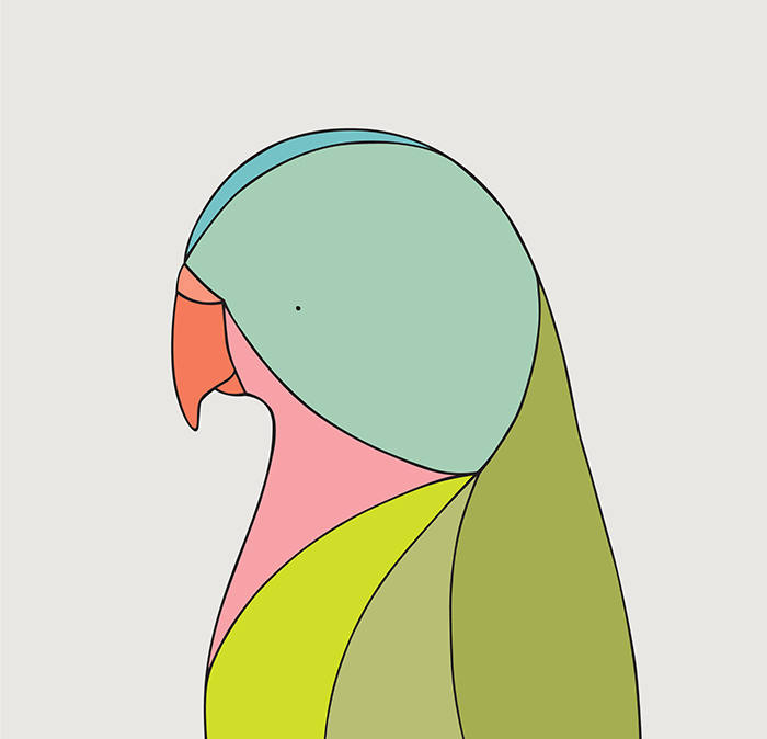 Princess Parrot - Fine art bird print - Eggpicnic