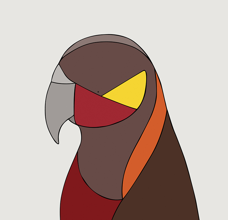 Kaka - New Zealand - Fine art bird print - Eggpicnic