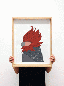Gang Gang Cockatoo - Fine art bird print - Eggpicnic