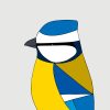 Eurasian Blue Tit - Image 3