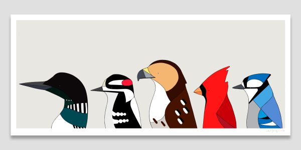 Birds of North America