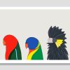 Birds of Sydney