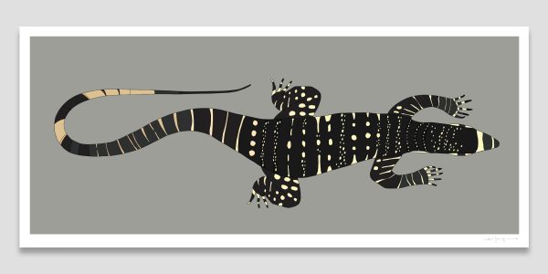 Lace Monitor