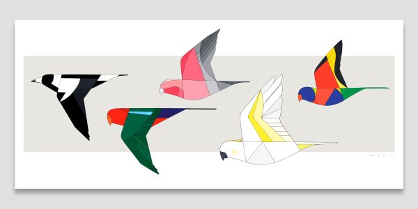 Birds of Australia In Flight