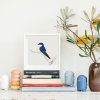 Golondrina Chilena (Chilean Swallow) - Image 2