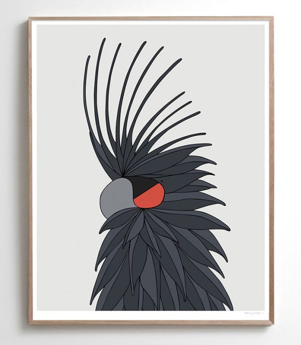 Palm Cockatoo - Image 2