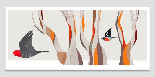 Gang-gang Cockatoo, Flame Robin & Snow Gums