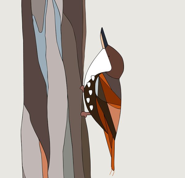 Comesebo Grande (White-throated Treerunner) - Image 3