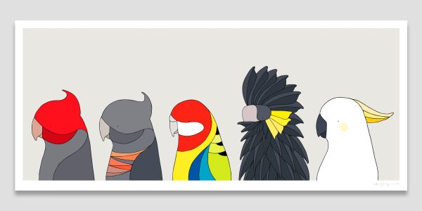 Parrots of Canberra