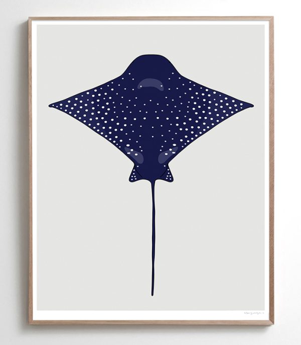 Eagle Ray - Image 2