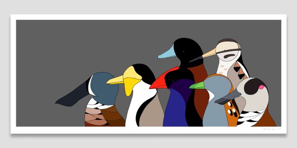 Birds of Jerrabomberra