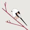 Shima Enaga (Long-tailed Tit) - Image 3