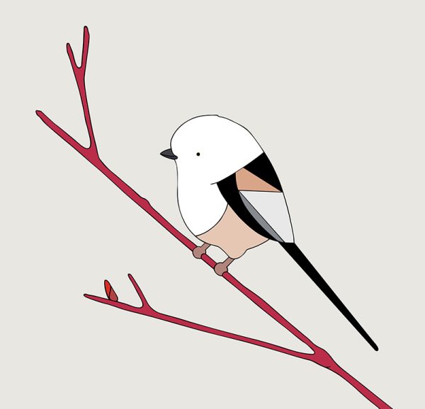 Shima Enaga (Long-tailed Tit) - Image 3