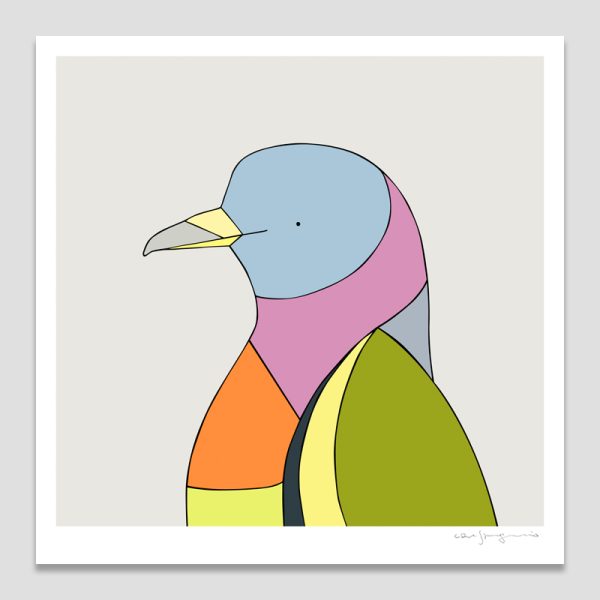 Pink-necked Green Pigeon