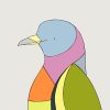 Pink-necked Green Pigeon - Image 3