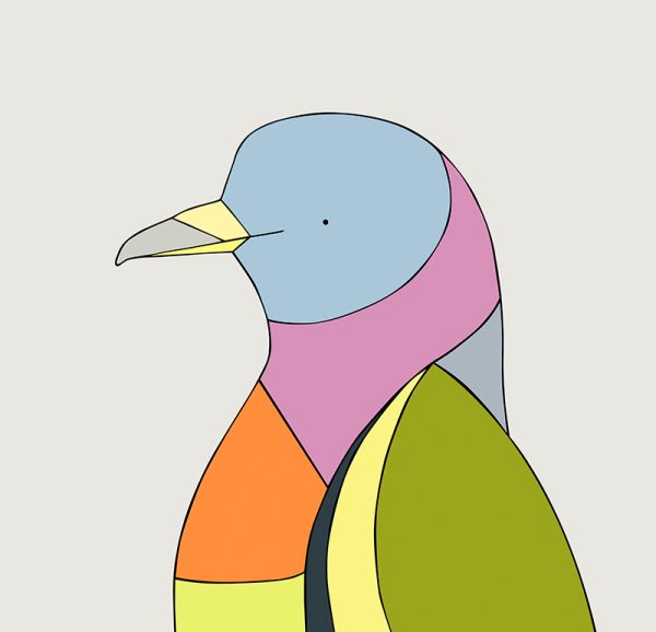 Pink-necked Green Pigeon - Image 3