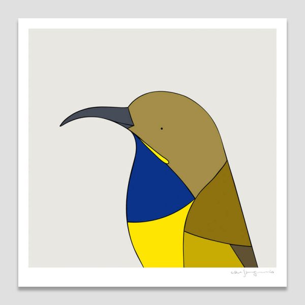 Olive-backed Sunbird