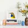 Olive-backed Sunbird - Image 2