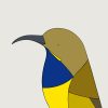 Olive-backed Sunbird - Image 3