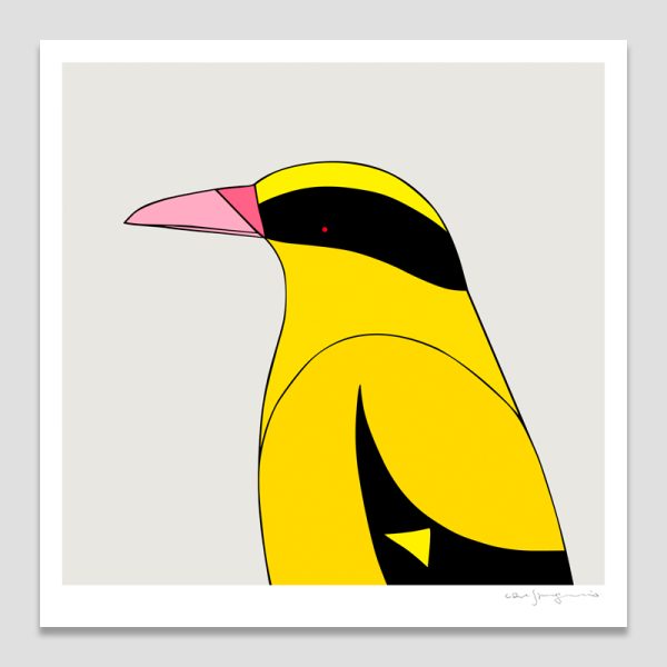 Black-naped Oriole