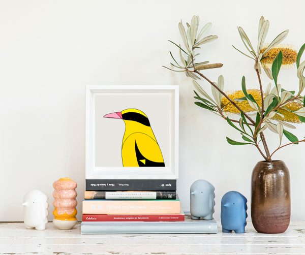 Black-naped Oriole - Image 2