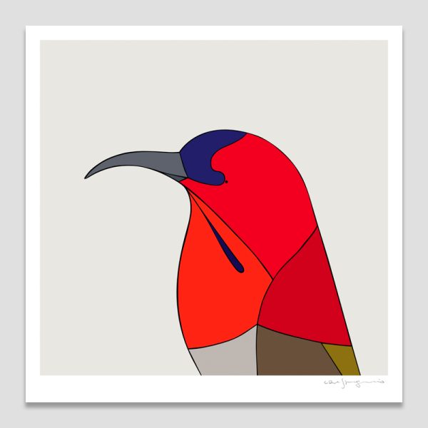 Crimson Sunbird