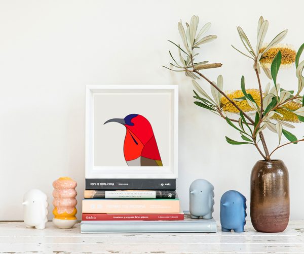 Crimson Sunbird - Image 2