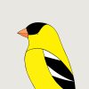 American Goldfinch - Image 3
