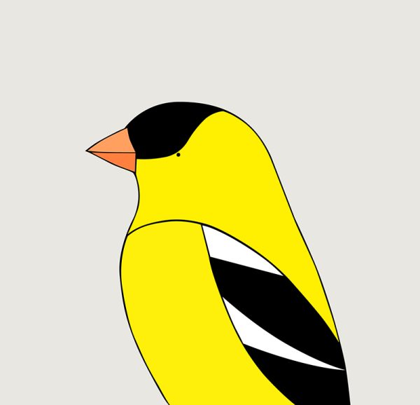 American Goldfinch - Image 3