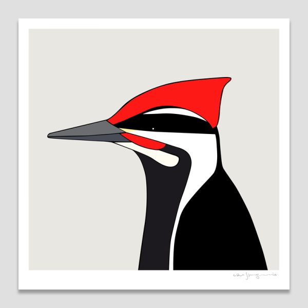 Pileated Woodpecker