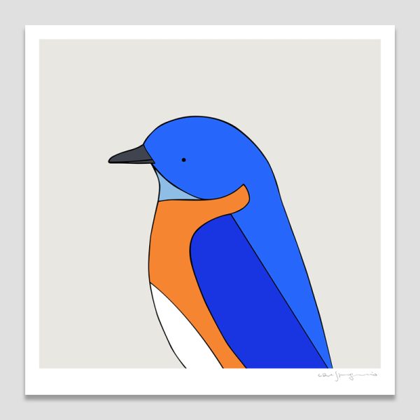 Eastern Bluebird