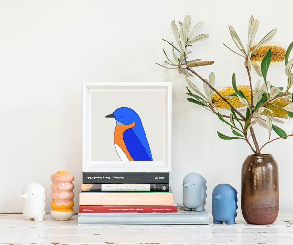 Eastern Bluebird - Image 2