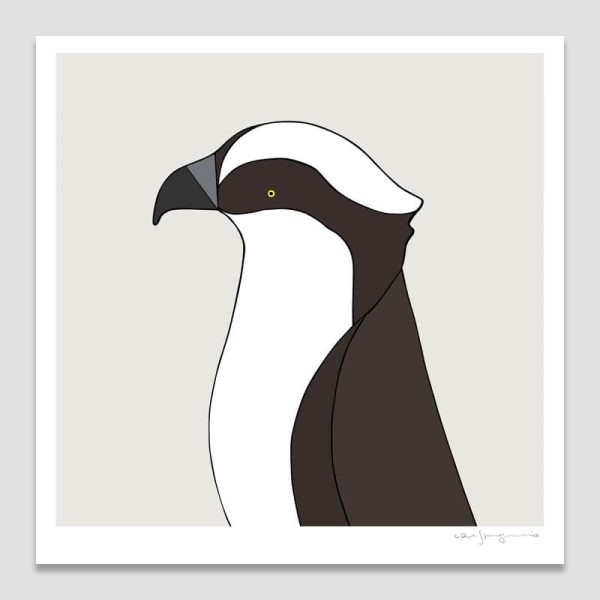Osprey