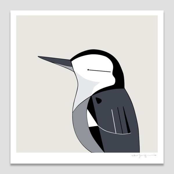 White-breasted Nuthatch