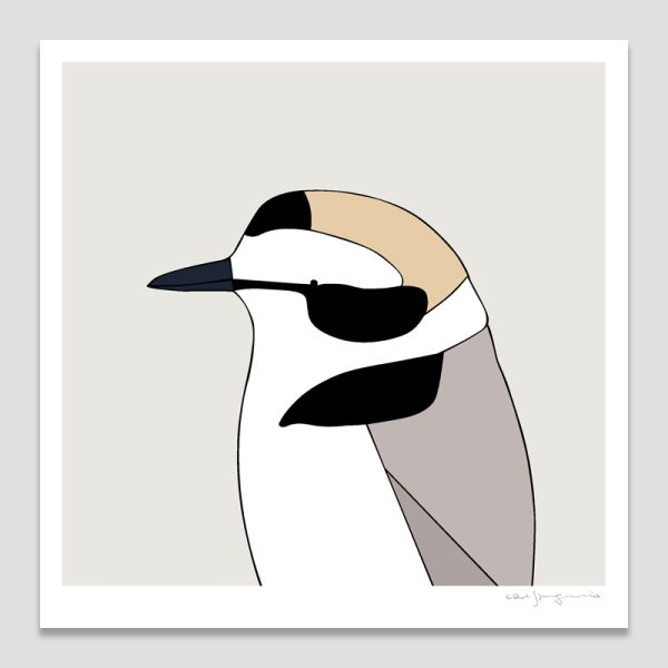 Snow Plover