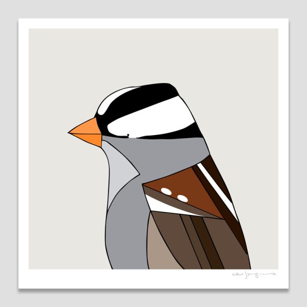 White-crowned Sparrow