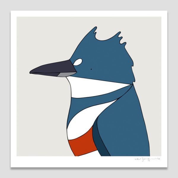 Belted Kingfisher