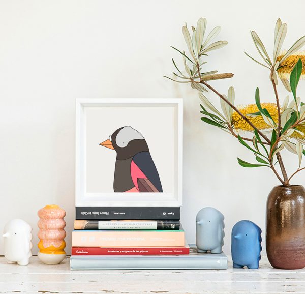 Black Rosy-Finch - Image 2