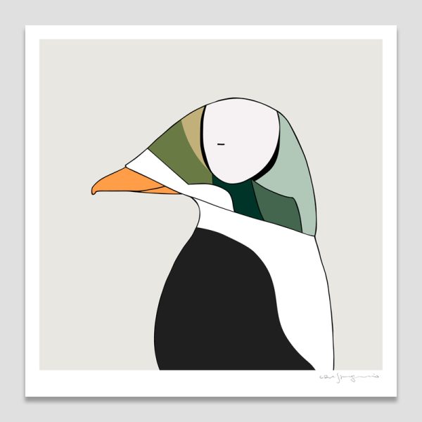 Spectacled Eider
