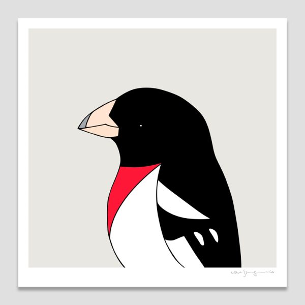 Rose-breasted Grosbeak