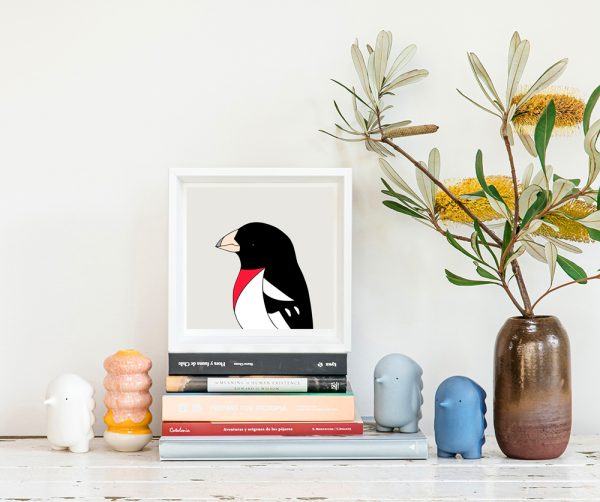 Rose-breasted Grosbeak - Image 2