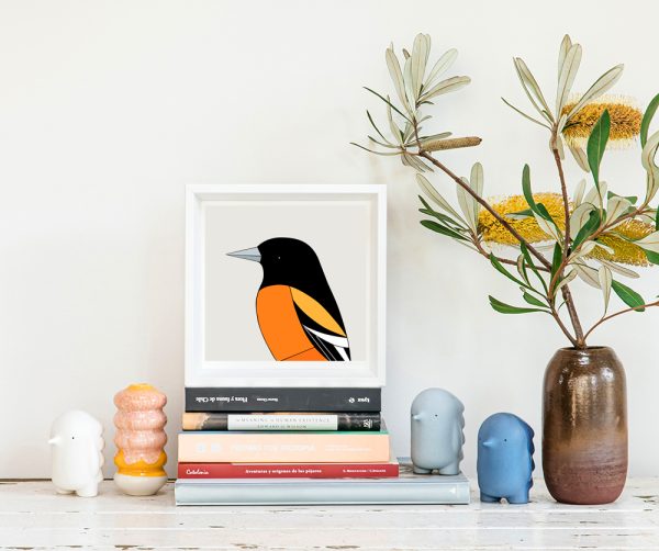 Baltimore Oriole - Image 2
