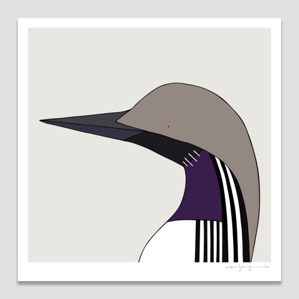 Arctic Loon
