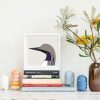 Arctic Loon - Image 2