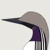 Arctic Loon - Image 3