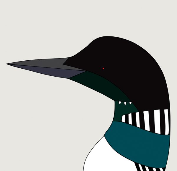 Common Loon - Image 3