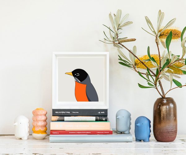 American Robin - Image 2