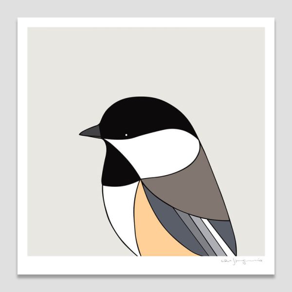 Black-capped Chickadee