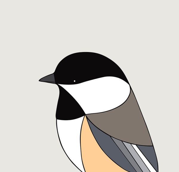 Black-capped Chickadee - Image 3