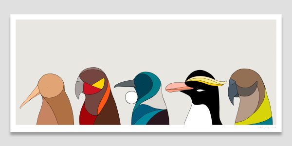 Birds of New Zealand